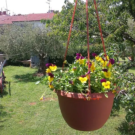 Benassi Πόρετς