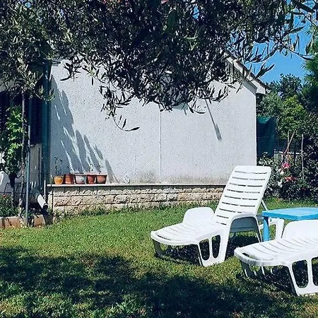 דירה Benassi *